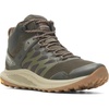 Olive 1
