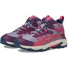 Berry/Navy