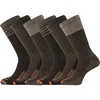 Brown (6 Pairs)